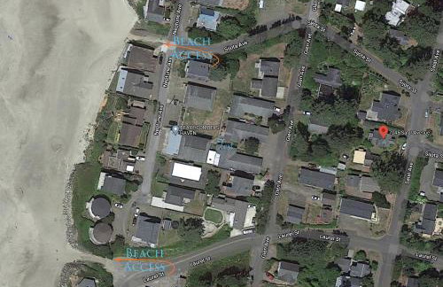 Blue Pineapple - Foto 38