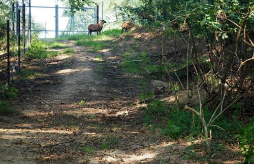 Ranczo w Dolinie Biskupice - Foto 14