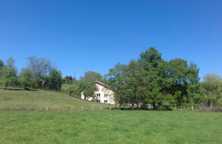 L'oriere des Bois - Foto 23