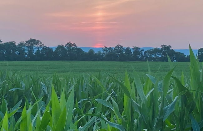 Roadhaven 1830 - Foto 63