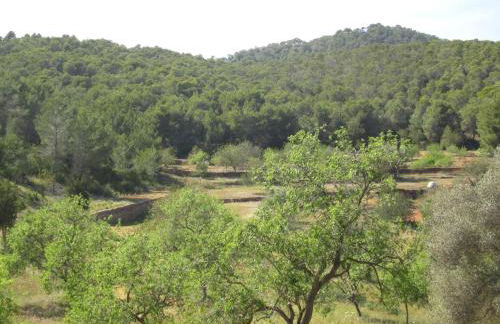 Sa Tanca den Marines ETV 1272 E - Foto 35