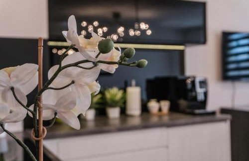 Apartamenty Balbina 1 - Foto 20