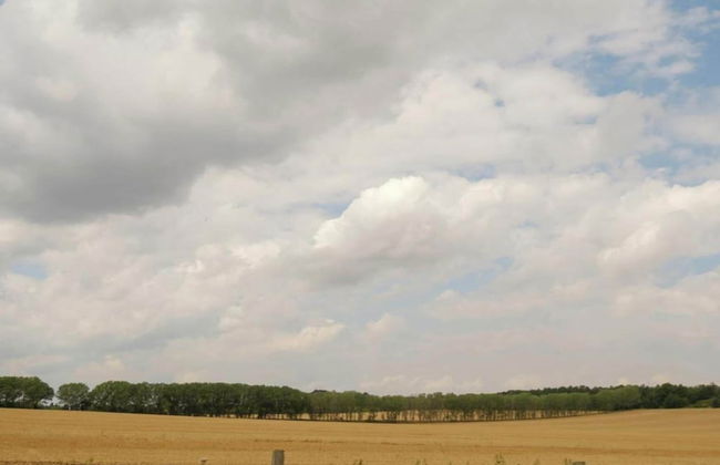 Ferienhaus in Meisdorf - Foto 31