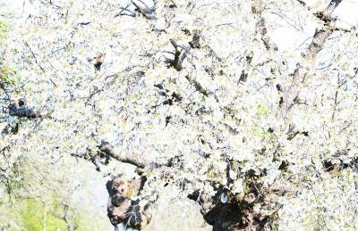 MałaKamienica80 Butikowa agroturystyka w Górach Izerskich - Foto 10