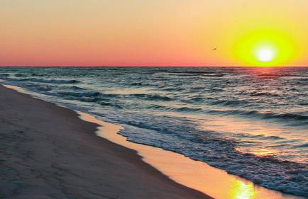 Beachcrest 504 - Foto 5