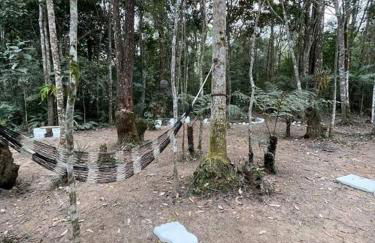 Bosque na Montanha Encantada - Foto 10