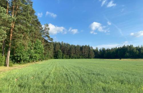 KURNIK - Domek pod lasem - Foto 17