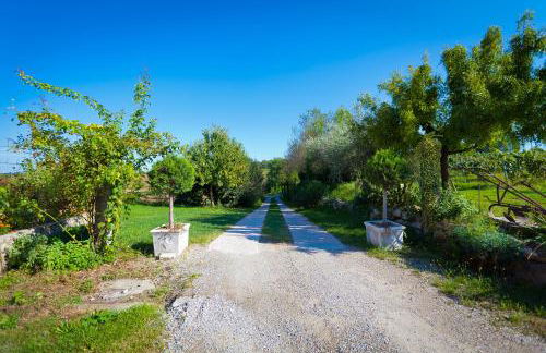 Agriturismo con Cucina tipica Nuova Scardua - Foto 31