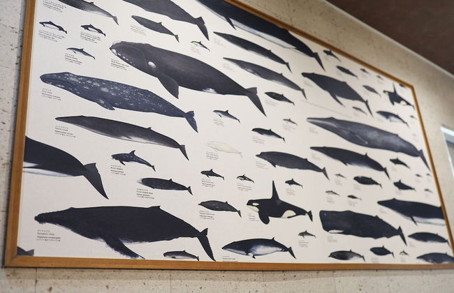 The Beehive Otaru - Photo 31