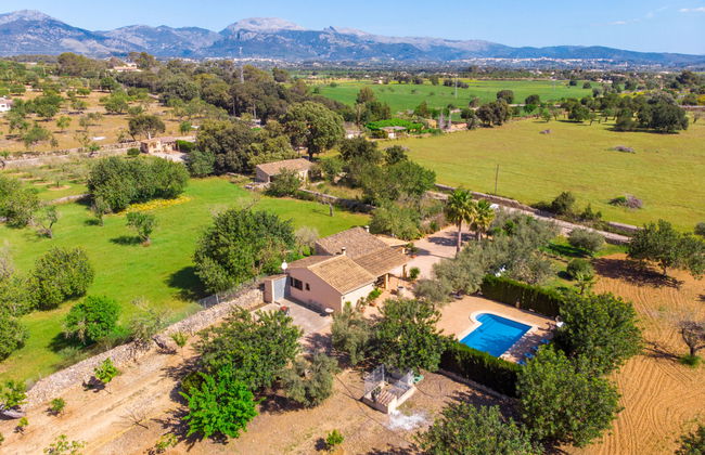 Son Catlar - Photo 30