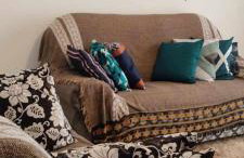 Casa Verde -temporada/Beto Carrero - Foto 11