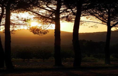 Apartment in Umbria With Garden - Photo 61