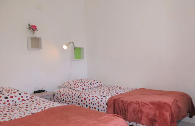 Roses Tremières - Foto 5