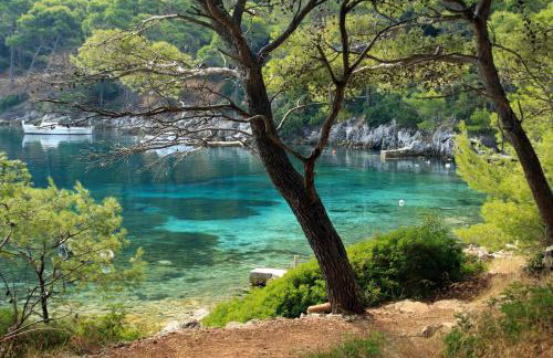 Apartments by the sea Ubli, Lastovo - 8354 - Foto 23