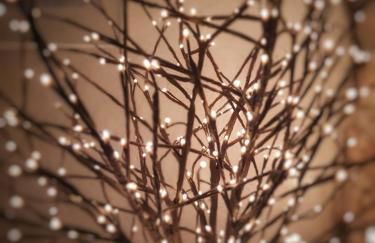 Il vecchio frantoio - Photo 12