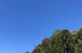 Chalé com Vista para Vinhedo e Natureza - Foto 23