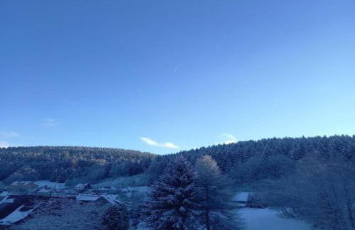 Chalet in Schnett Near Ski Slopes - Foto 54