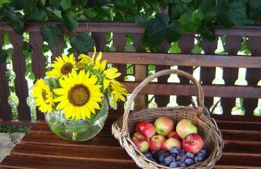 Apartments Sanja - Foto 18