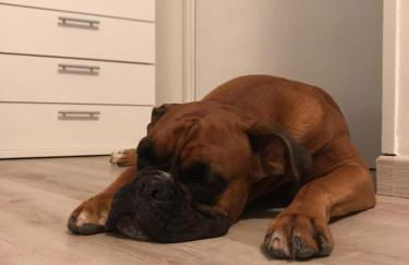 La Casa di Pamy - Foto 68