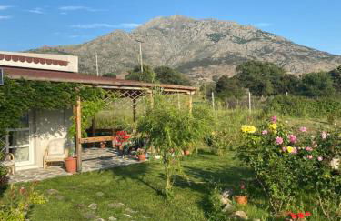 Samothraki - sea, mountain, quiet - Foto 5