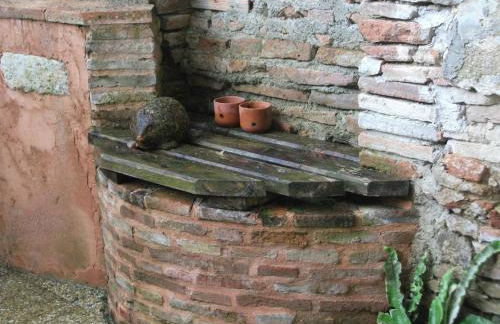 Le Petit Nid, gite studio pour 2 - Foto 6