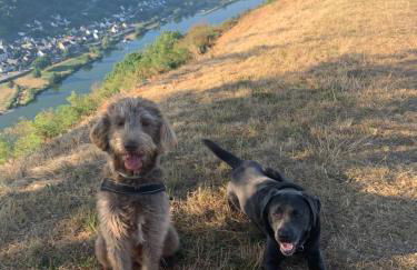 Ferienwohnung Apolo - Foto 22