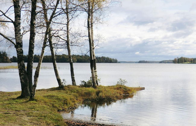 4 Person Holiday Home in Unnaryd-by Traum - Foto 14