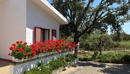 Finca Sa Cova de Mallorca - Foto 4