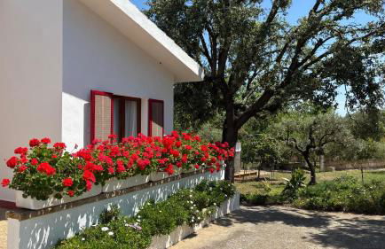 Finca Sa Cova de Mallorca - Foto 4