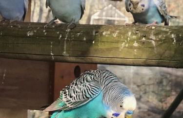 Le Mas de la Grenouillère - Foto 42