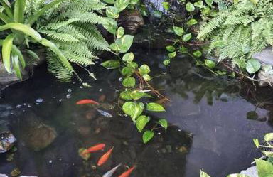 Palm Harbor Waterfront with pool & Game room - Foto 57