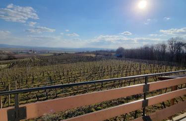 Kuća za odmor Baron - Foto 44