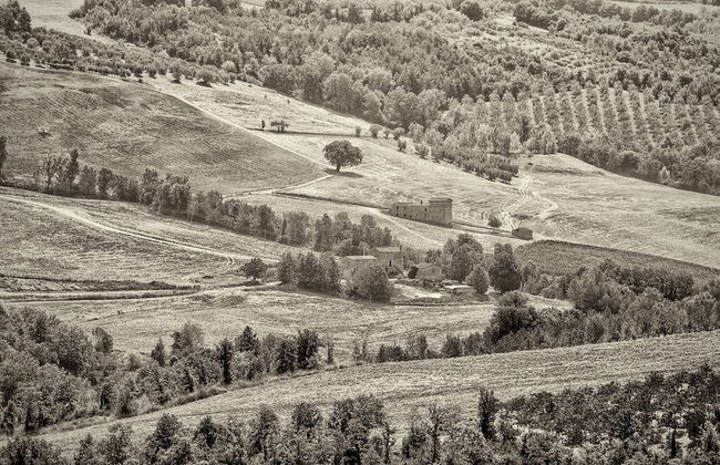 Agriturismo Casa Greppo - Il Noce - Foto 62