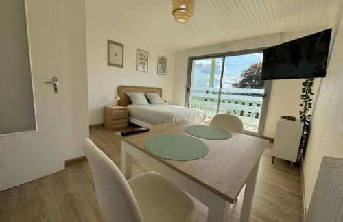 Studio lumineux de 23m avec balcon - Foto 1