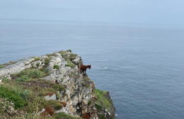 Villa con piscina VILLA ALICIA LA PERLA INDIANA - Foto 73