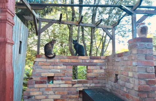 Ferienwohnung „Am Gnaucks Hutberg“ - Foto 69