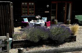 Cottage near Corfe & Jurassic Coast - Foto 54