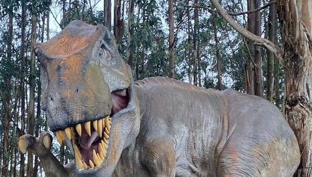 Private Tour from Oviedo to Covadonga, lakes, & sailors villages - Photo 5