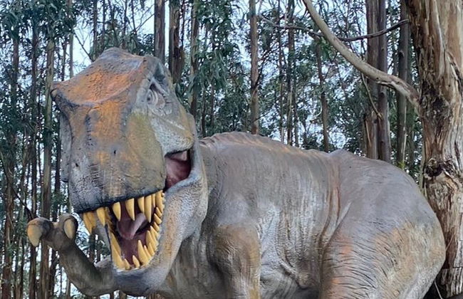 Private Tour from Oviedo to Covadonga, lakes, & sailors villages - Photo 5