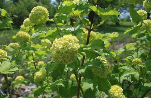 CASA RURAL LA FRESNEDA DE TENZUELA - Foto 34