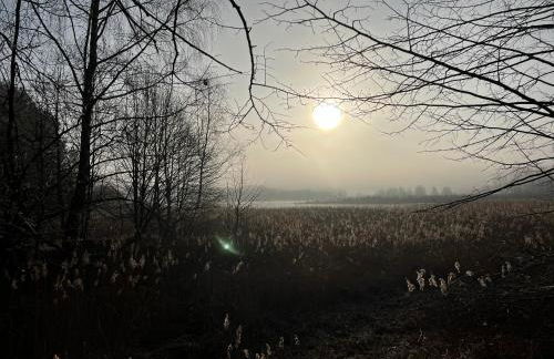 Ferienhaus im Fischersteig - Foto 32