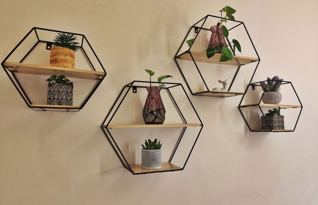 Oddity Studio By Paradox - Foto 27