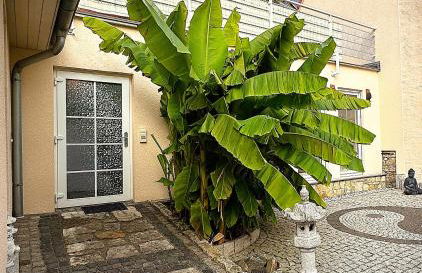 Ferienhaus Im Gässchen - Photo 6