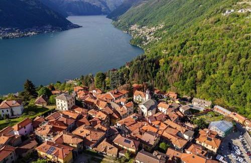 Green Molina - Foto 33