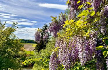 Am Flussgarten - Foto 13