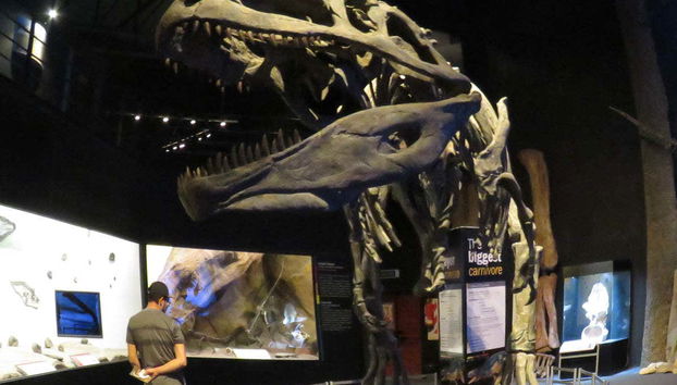 The Paleontological Museum Ticket - Foto 3