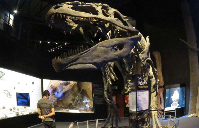 The Paleontological Museum Ticket - Foto 3