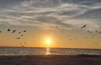 Villa Madeira 408 - Premier - Foto 53