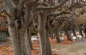 Casa Boutique ALEGRÍA - Foto 40