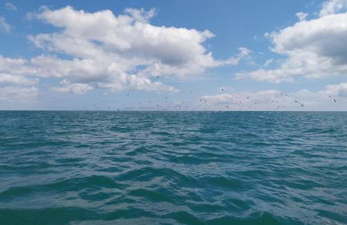 Gites de la Mouette Le Bigorneau nid cotier 2 personnes - Foto 15